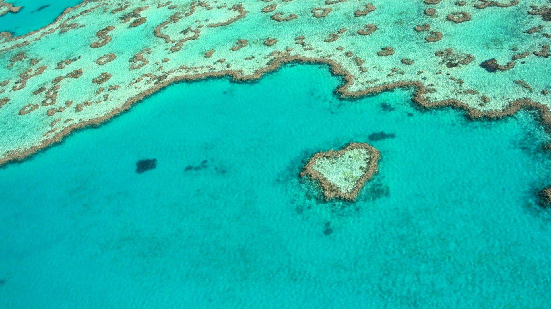 Paradise will wait. Keep dreaming.